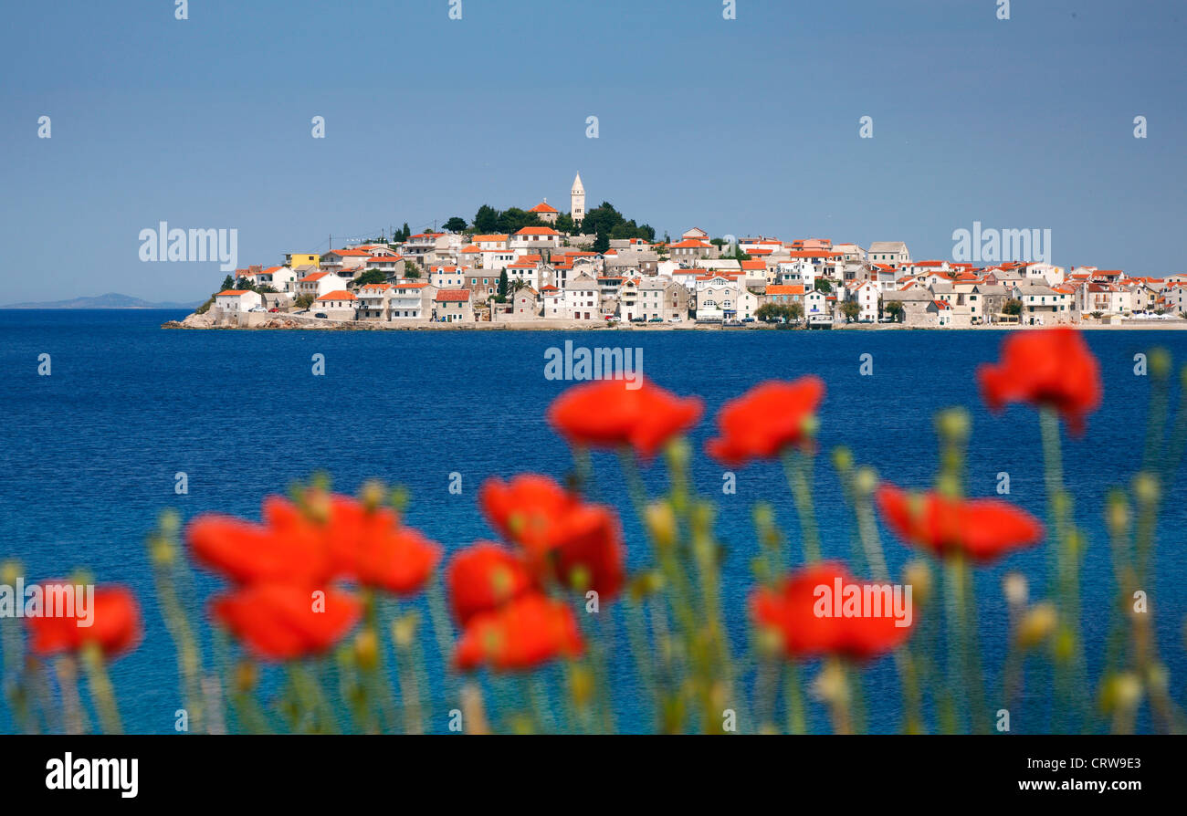 Primosten ville avec des coquelicots rouges en face Banque D'Images