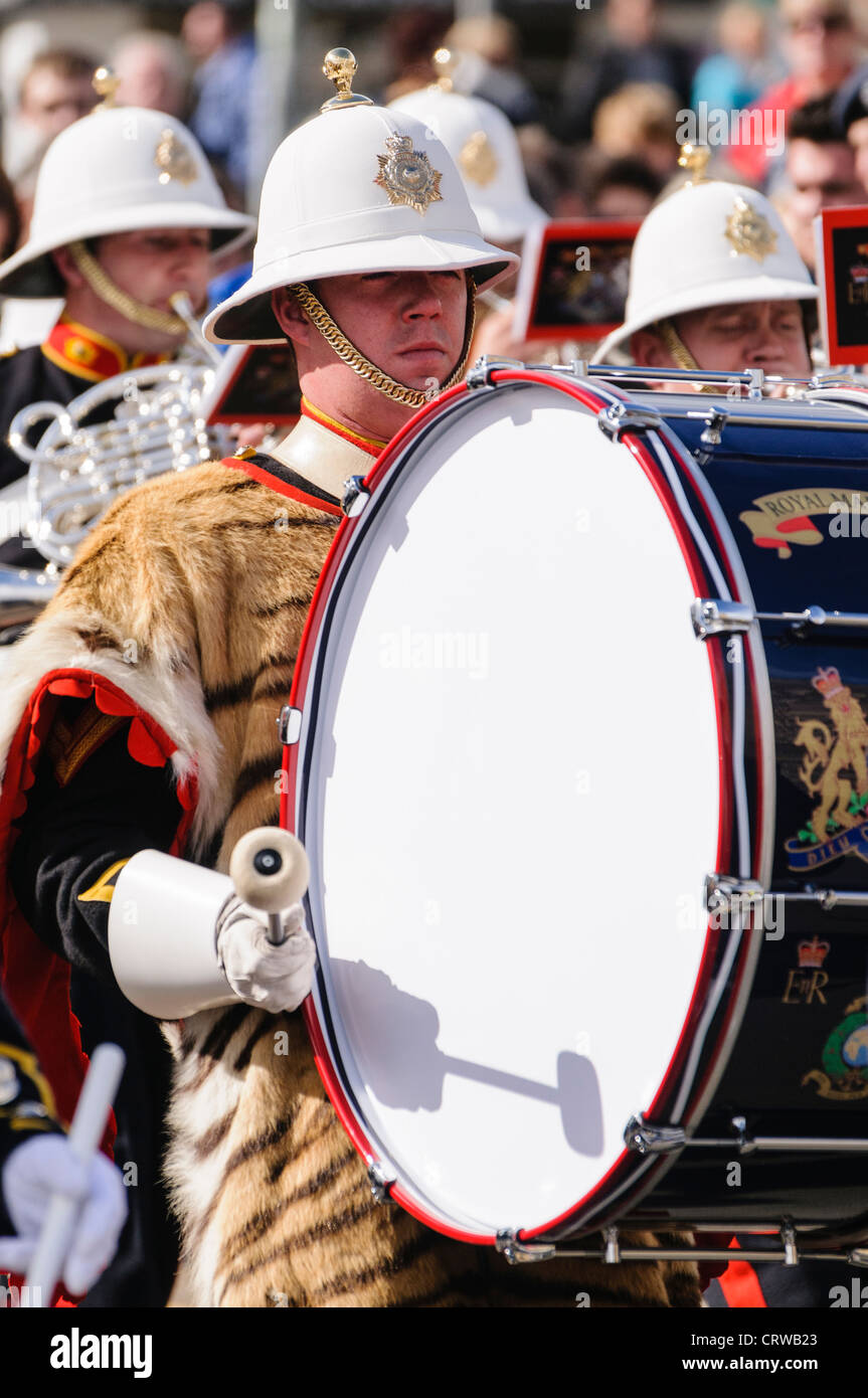 Bass batteur des Royal Marines band portant un vrai tigre peau Banque D'Images
