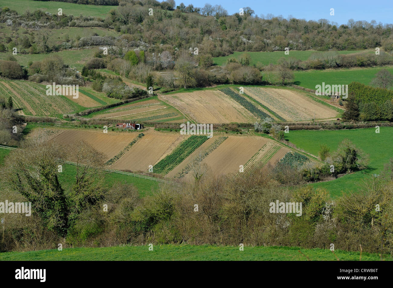 Charmy Down hill et les marchés près de Batheaston UK Somerset Banque D'Images