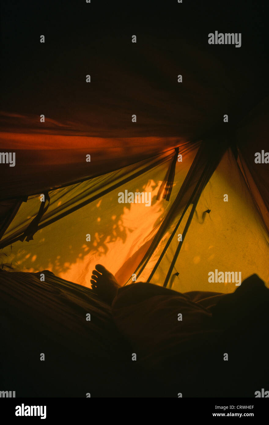L'intérieur de la tente, le pied de l'objet, sunrise new zealand Banque D'Images