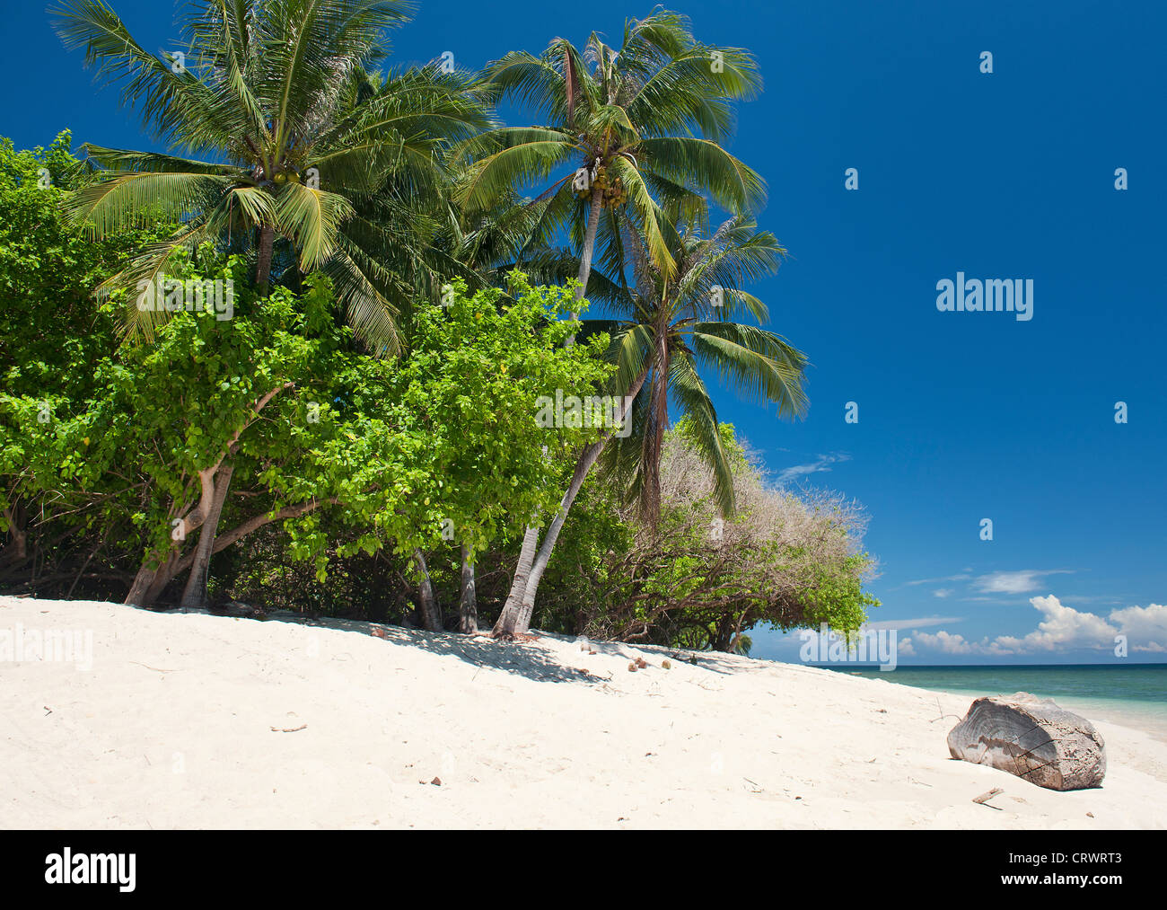 L'île de Selingan, Turtle Islands National Park, Sabah, Bornéo Banque D'Images