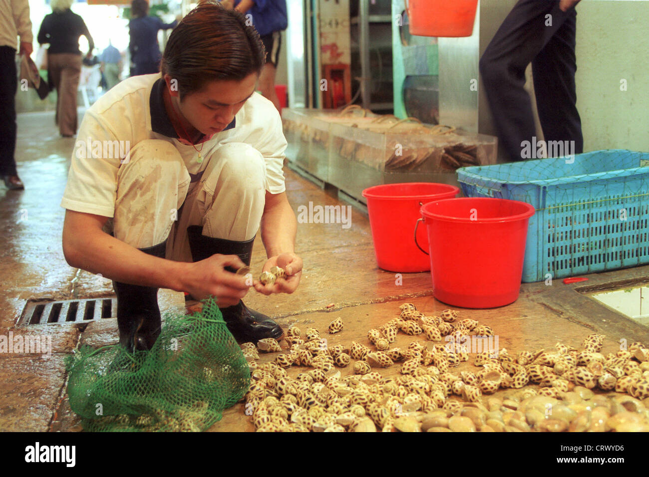 Un homme lors du tri des moules dans Hong Kong Banque D'Images