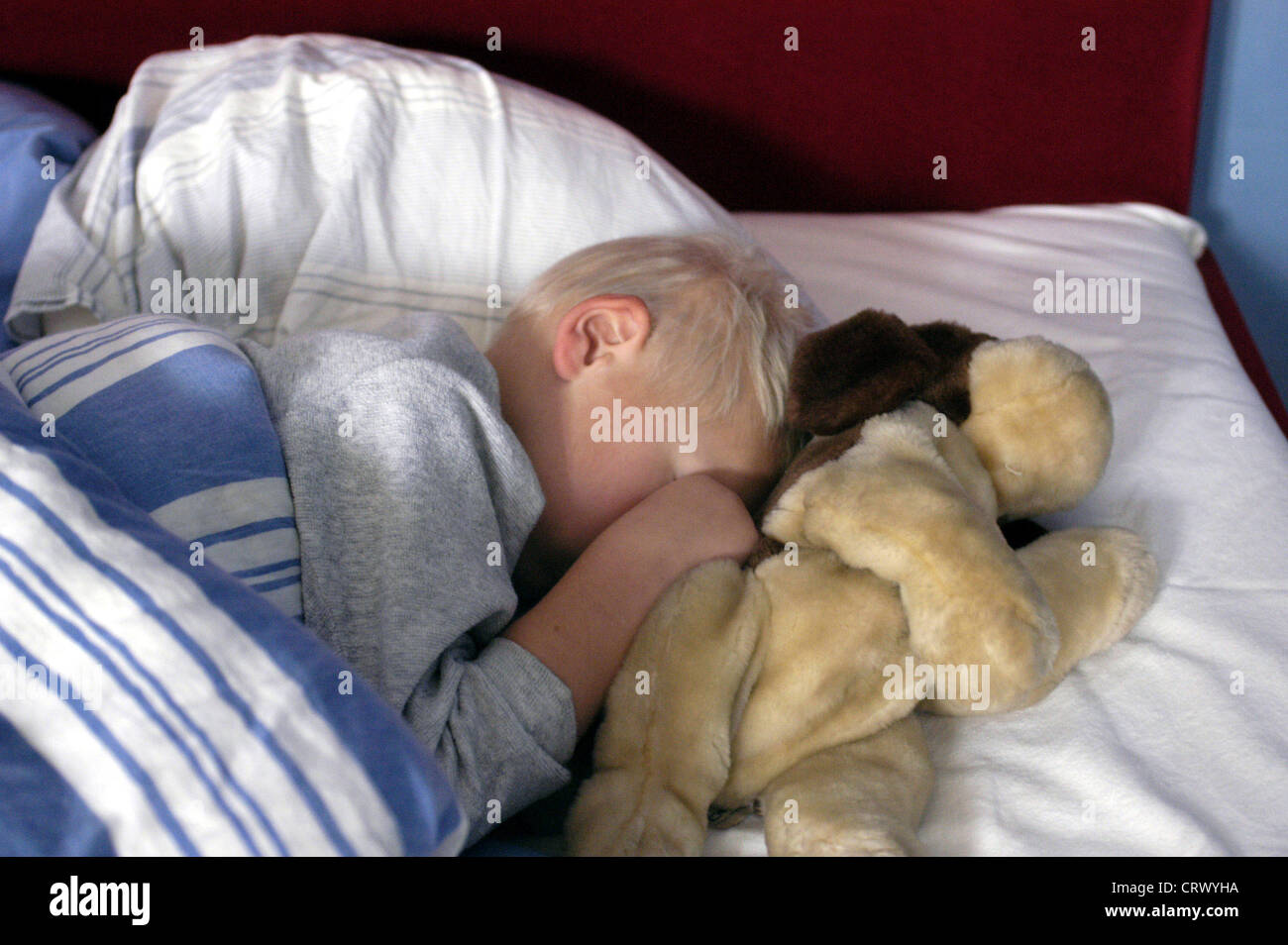Un petit garçon est en train de dormir Banque D'Images