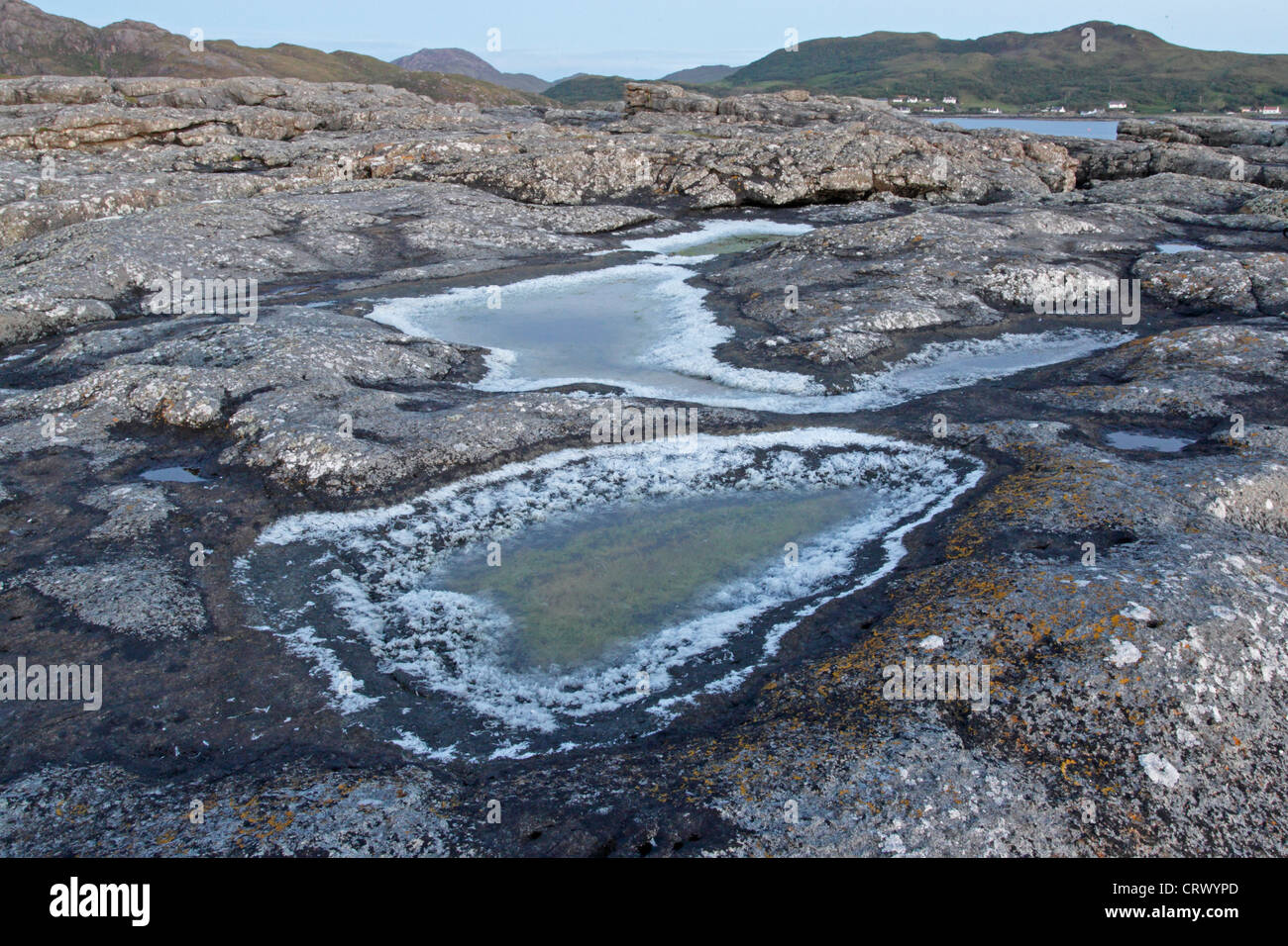 Piscine sel de roche montrant fringe en Ecosse Banque D'Images