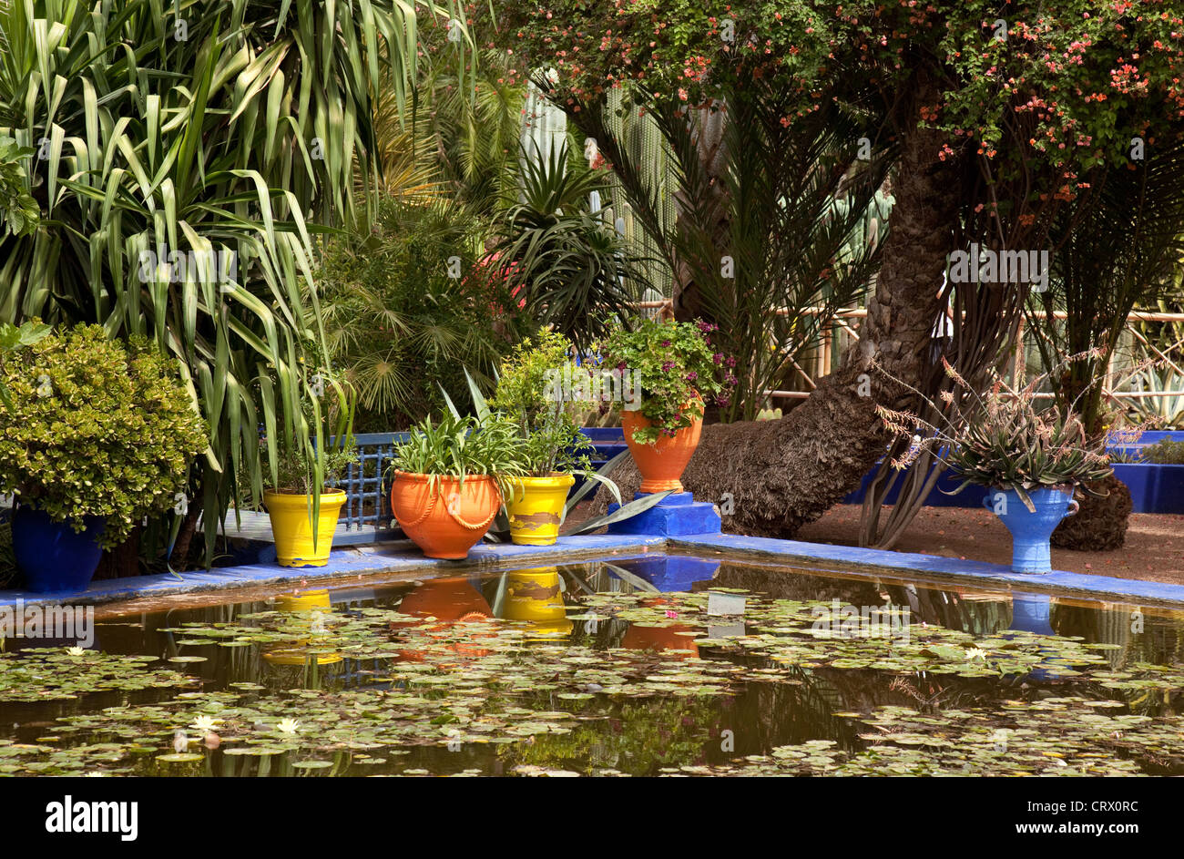 Scène colorée dans le jardin Majorelle Le jardin Majorelle (Marrakech, Maroc), l'Afrique Banque D'Images