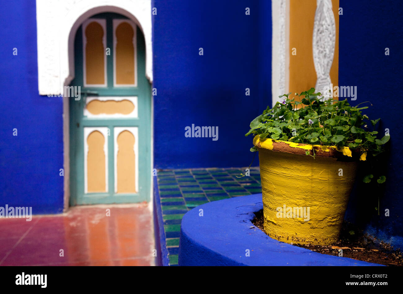 Scène colorée dans le jardin Majorelle, Marrakech Maroc Sud Banque D'Images
