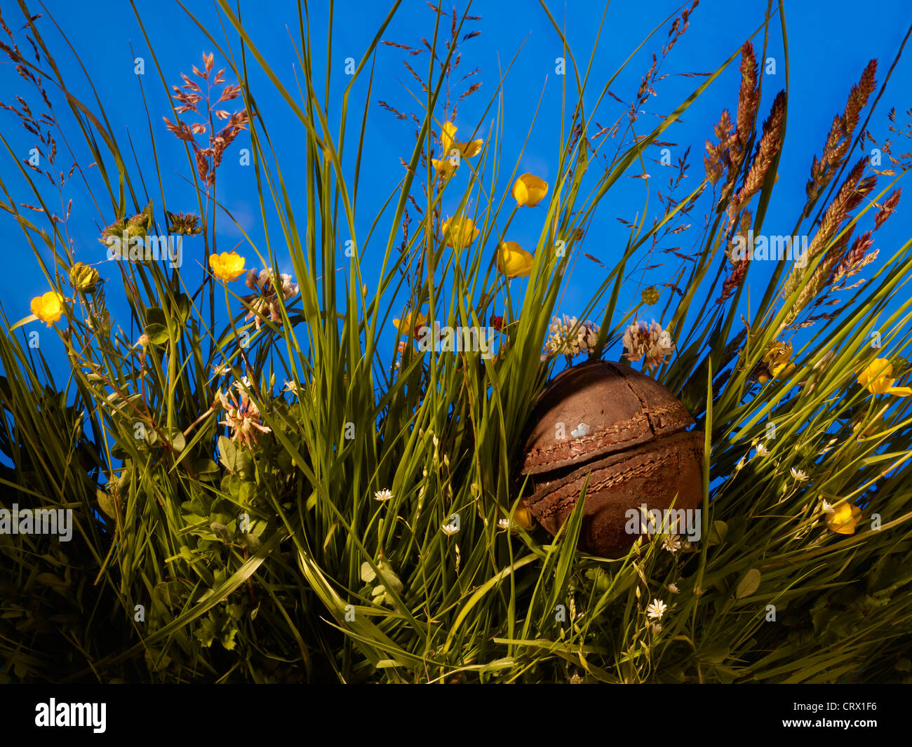 Très vieux et cassé le cricket ball trouvés dans l'herbe haute, à la perte de nombreuses années auparavant. Banque D'Images