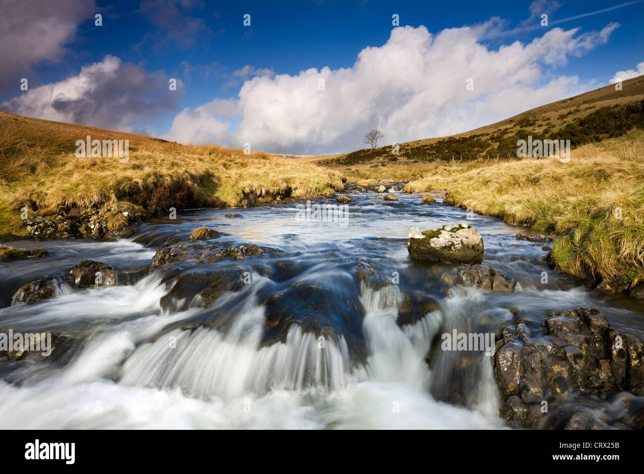 Rocky River Tawe dans la lande de Fforest Fawr, parc national de Brecon Beacons, Pays de Galles, Royaume-Uni. L'hiver (Janvier) 2010. Banque D'Images