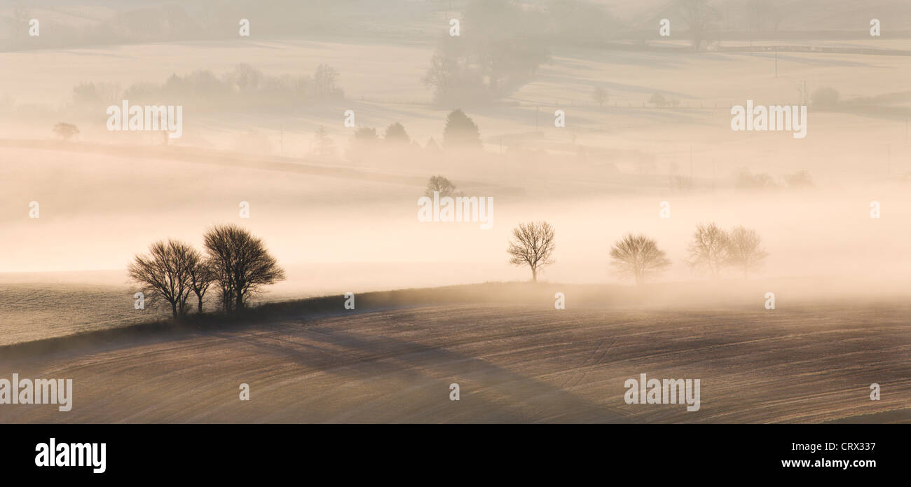 Campagne vallonnée, couverte de brouillard près de Thorverton, Devon, Angleterre. L'hiver (mars) 2010. Banque D'Images