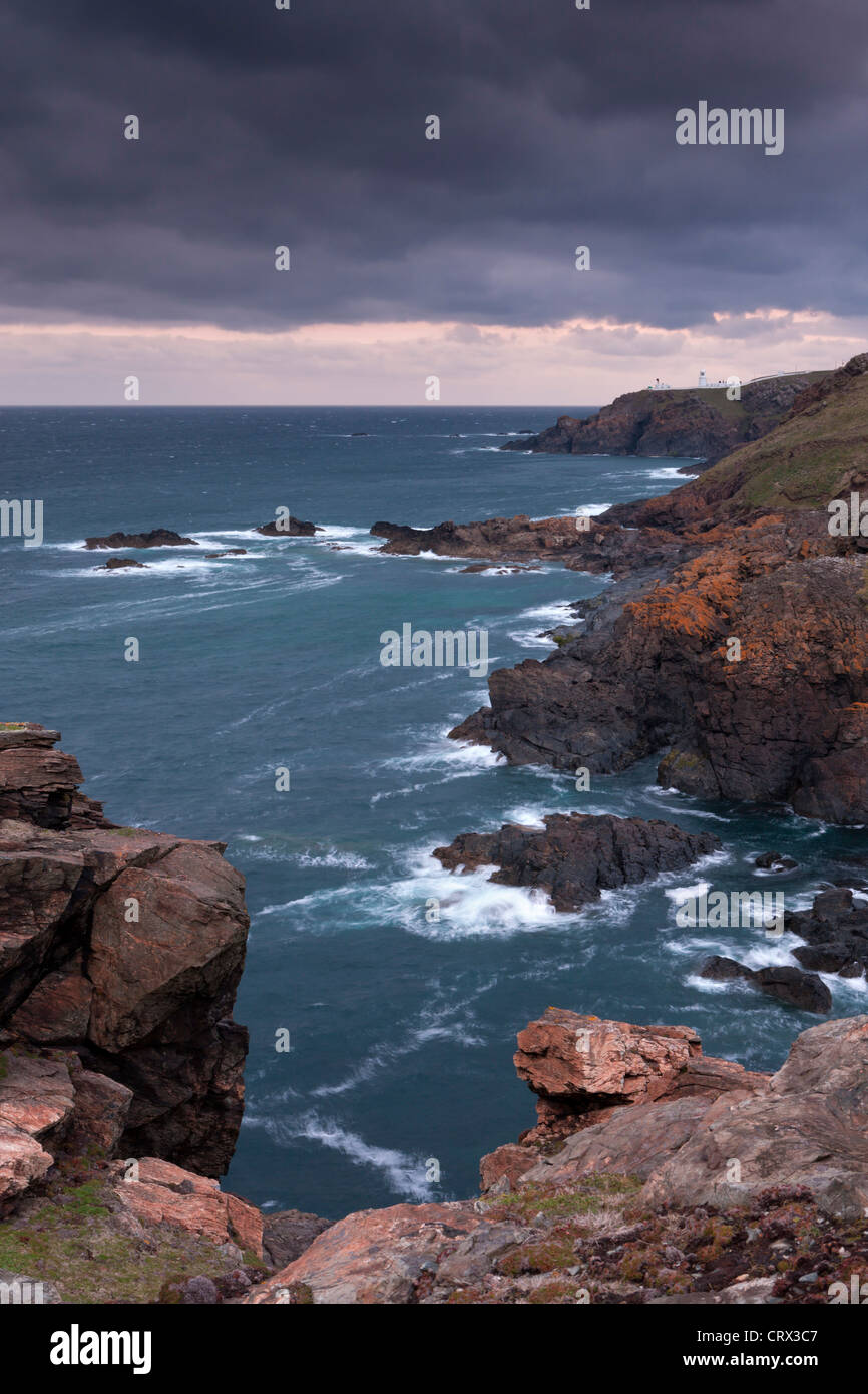 La côte de Cornouailles à Trewellard Zawn en direction de Pendeen phare, Cornwall, Angleterre. Printemps (avril) 2012. Banque D'Images