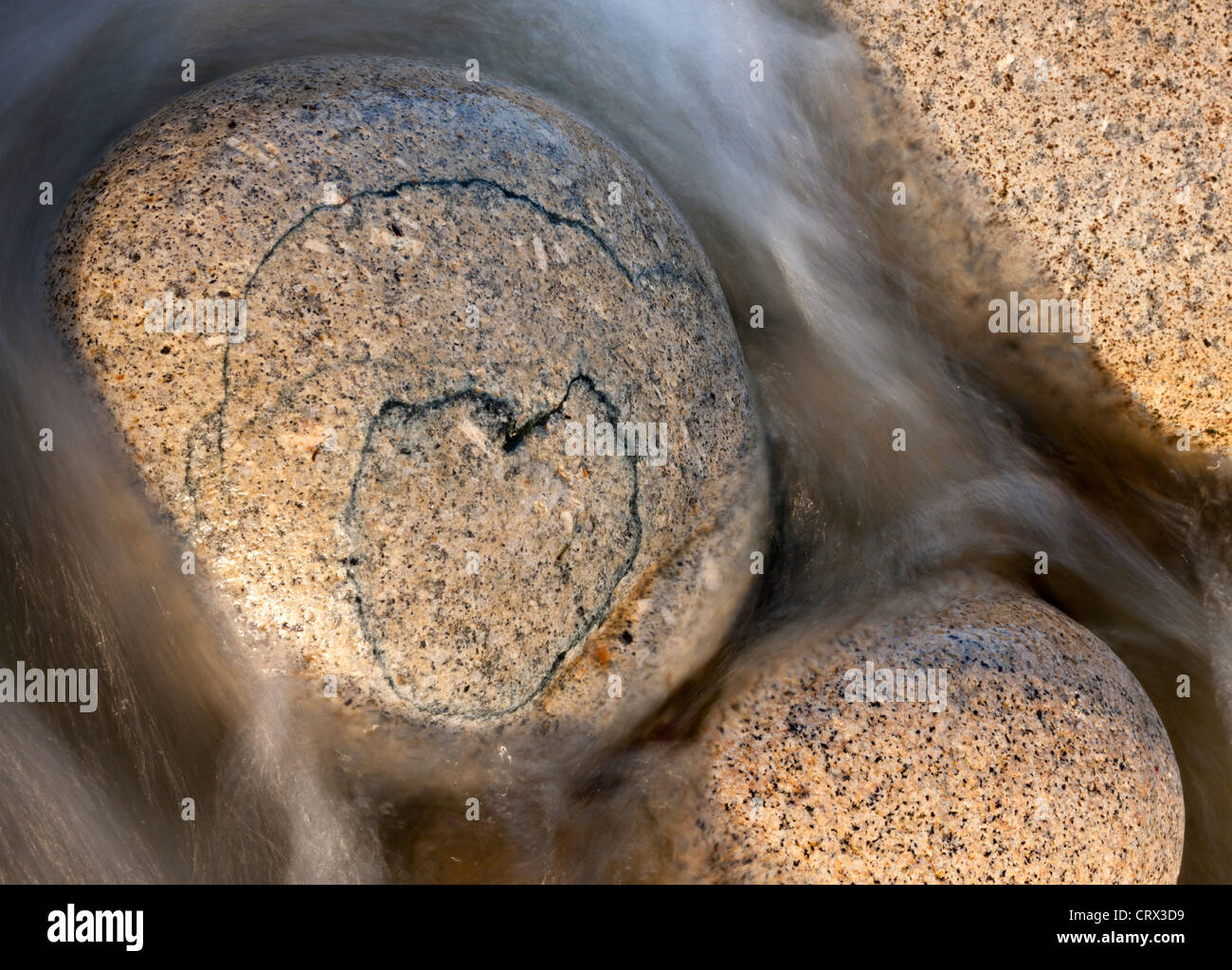 Motif en forme de cœur sur un bloc de granite circulaire, Porth Nanven, Cornwall, Angleterre. Printemps (avril) 2012. Banque D'Images