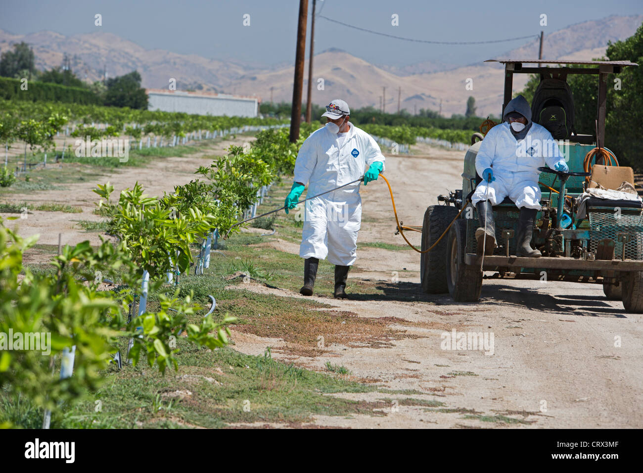 Woodlake, Californie - les travailleurs dans des vêtements de pesticides s'applique à un champ dans la vallée de San Joaquin. Banque D'Images