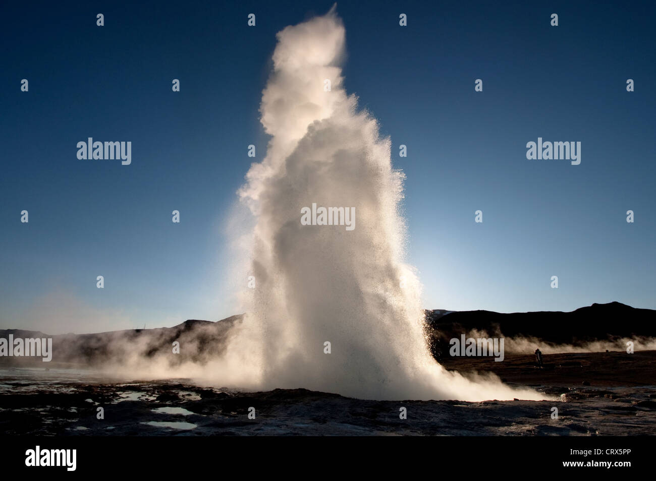 Strokkur, geyser, contre la lumière du soleil du soir à l'Islande, SW de Haukadalur Banque D'Images