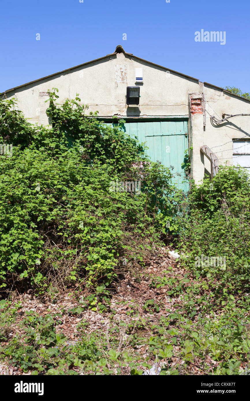 Une ancienne usine délabrée et située dans la campagne du Norfolk, East Anglia, Royaume-Uni Banque D'Images