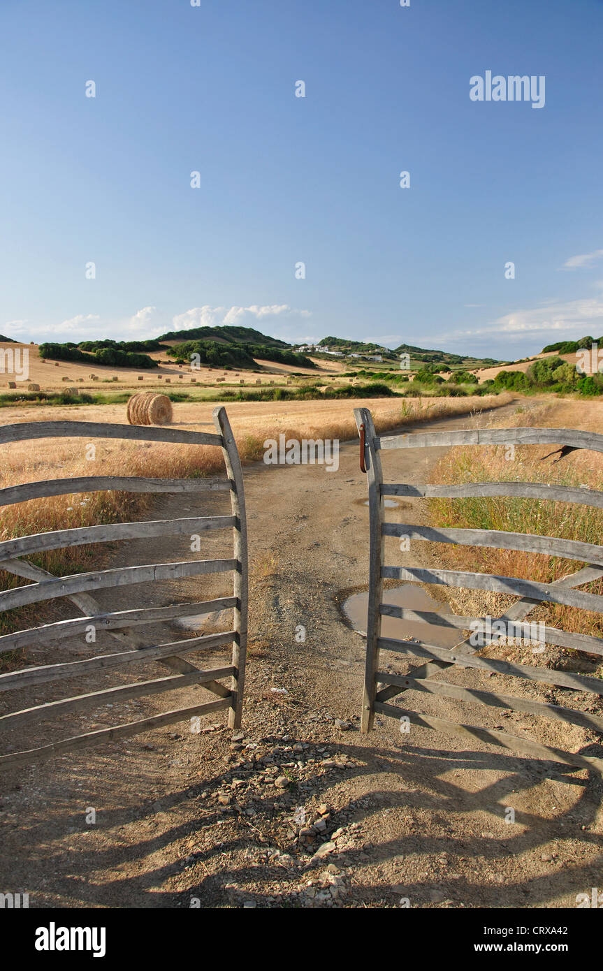 La porte de bois d'olive traditionnelle, Es Mercadal, Minorque, Iles Baléares, Espagne Banque D'Images