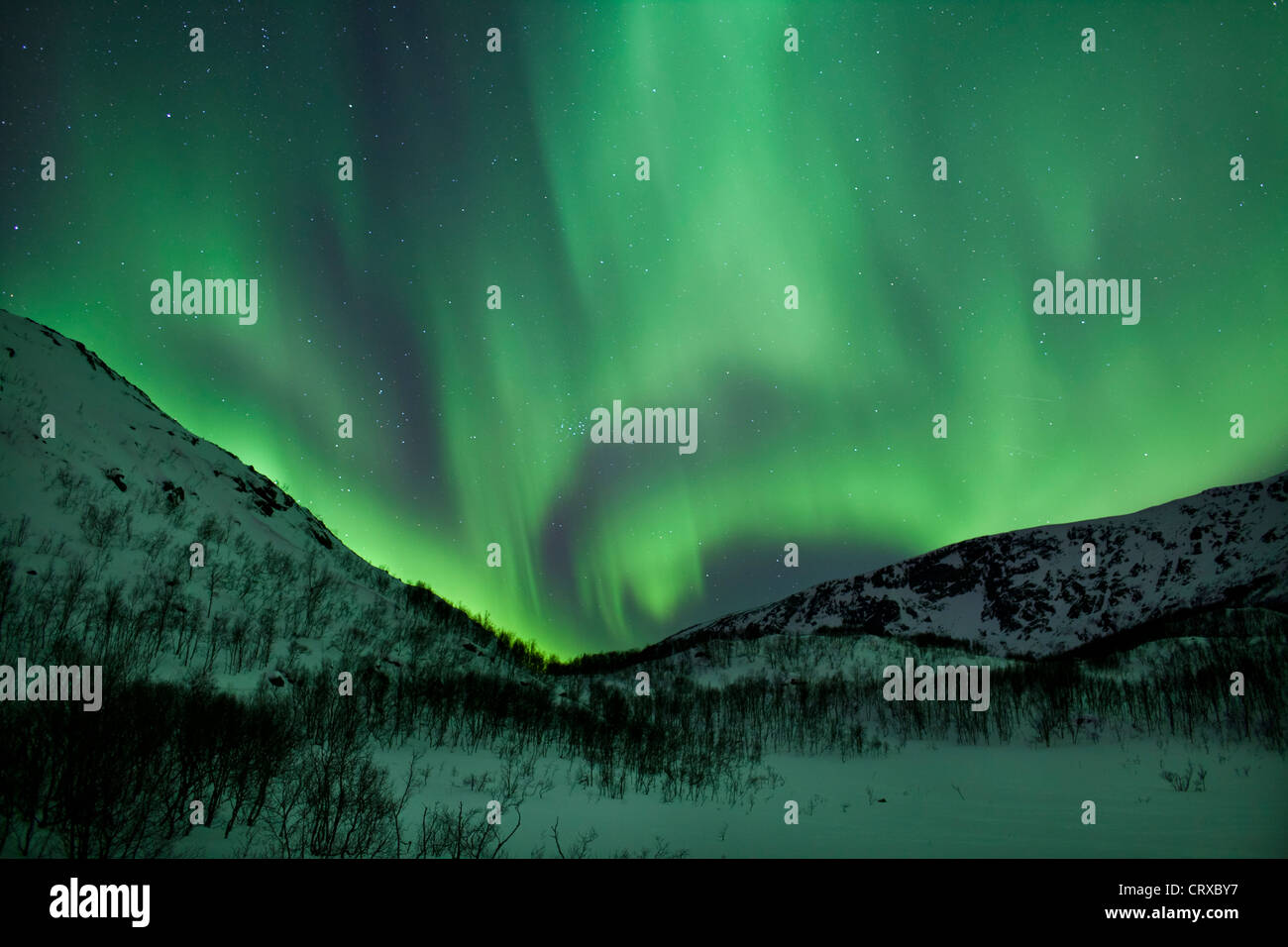 Aurores boréales les aurores boréales remplir le ciel à Kvaloya dans le cercle arctique près de Tromso, Norvège du Nord Banque D'Images