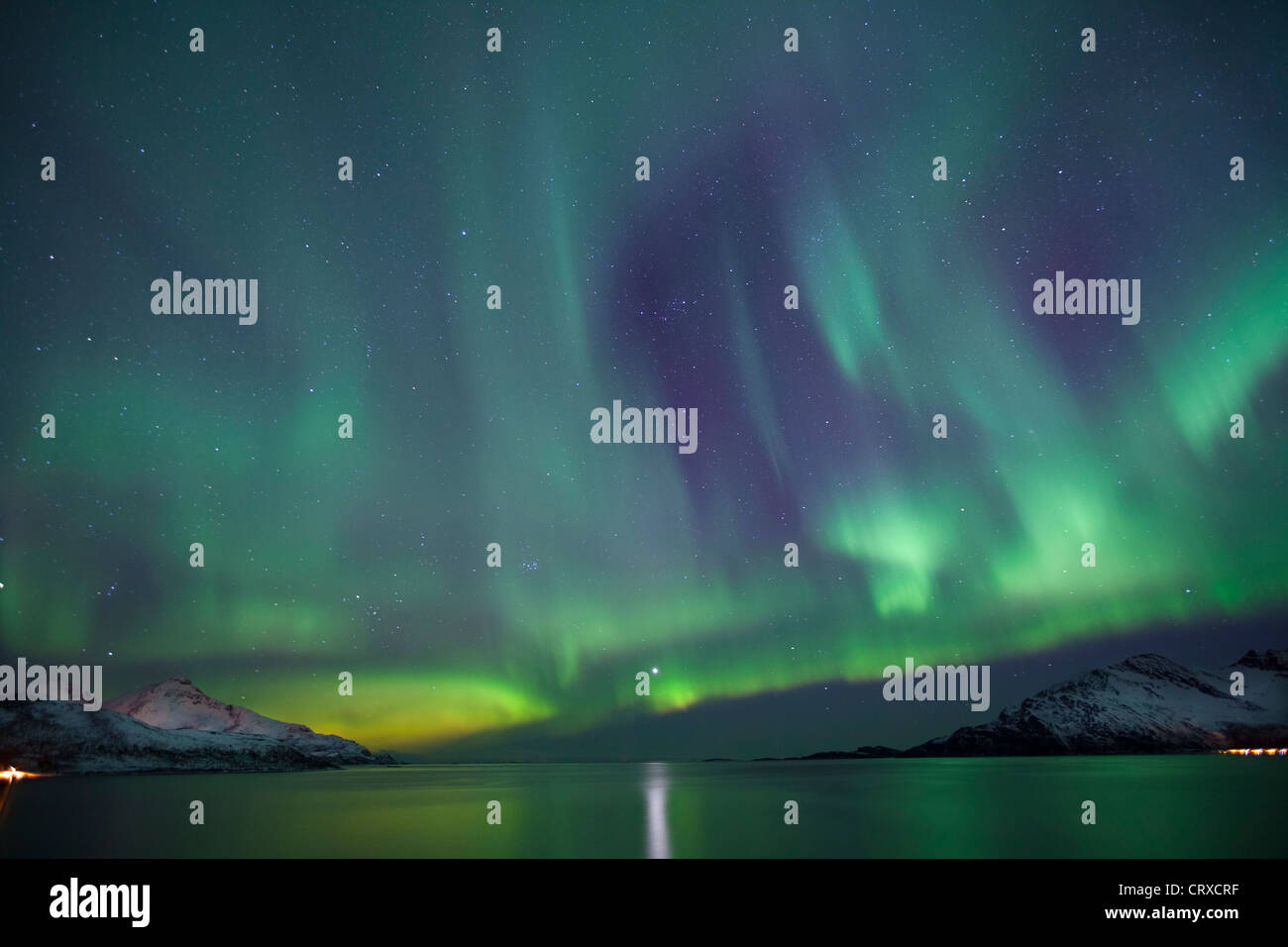 Aurores boréales les aurores boréales remplir le ciel à Kvaloya dans le cercle arctique près de Tromso, Norvège du Nord Banque D'Images