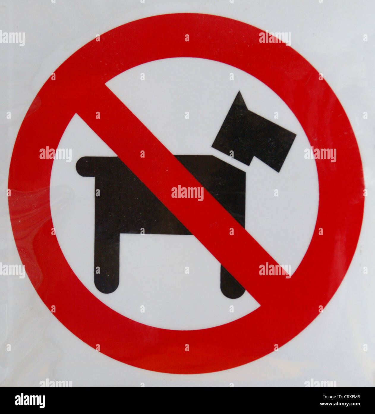 Un panneau d’interdiction de chien Banque D'Images