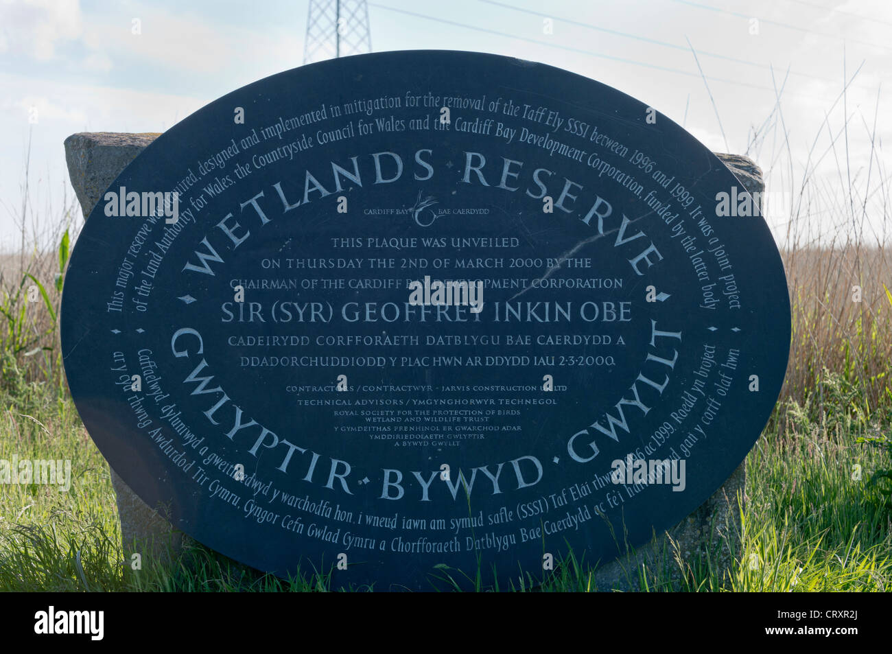 Les zones humides, Newport Gwent, Nouvelle-Galles du Sud Banque D'Images