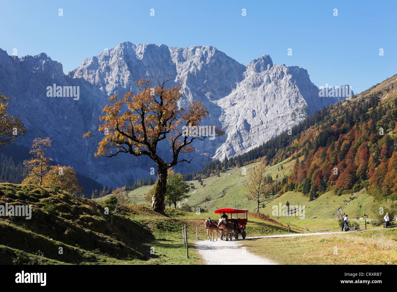 Autriche, Tyrol, voir des montagnes du Karwendel à l'automne Banque D'Images