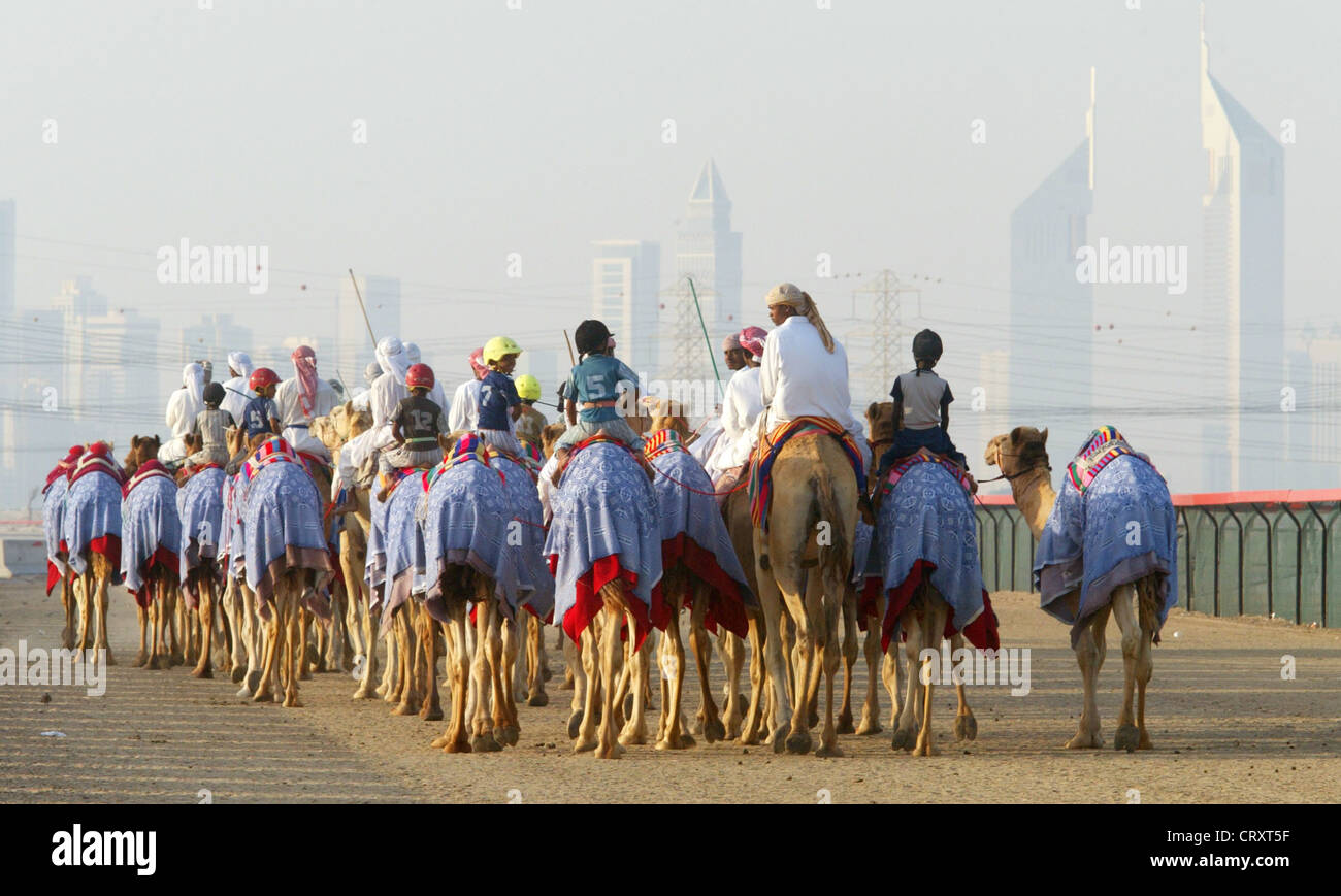 En chameau dans le désert de Dubaï Banque D'Images