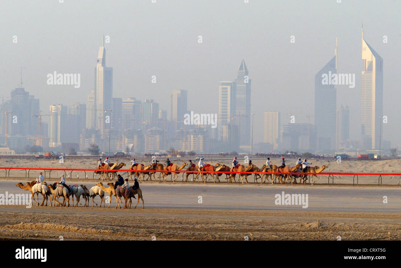 En chameau dans le désert en face de l'horizon de Dubaï Banque D'Images