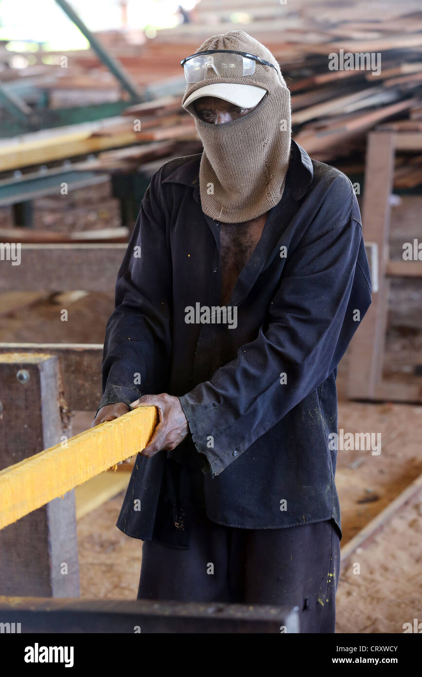 Travailleur dans l'entreprise de transformation du bois scierie, exploitation forestière, Santi, Province de Madang Papouasie-Nouvelle-Guinée Banque D'Images