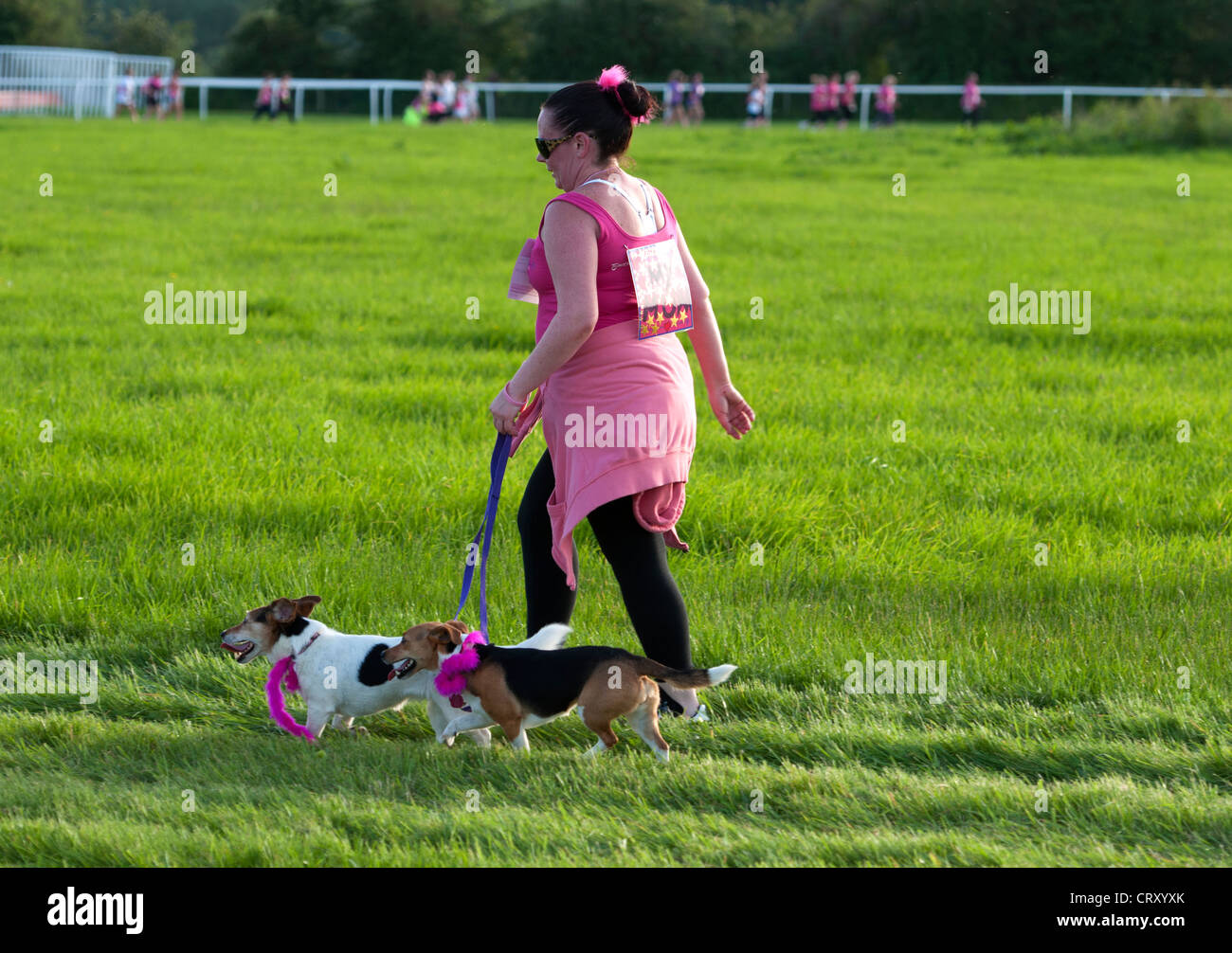 Femme marche avec les chiens dans la course pour la vie à l'Hippodrome de Stratford. Banque D'Images