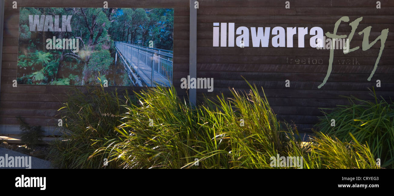 Illawarra fly cime des arbres promenade Banque de photographies et d ...