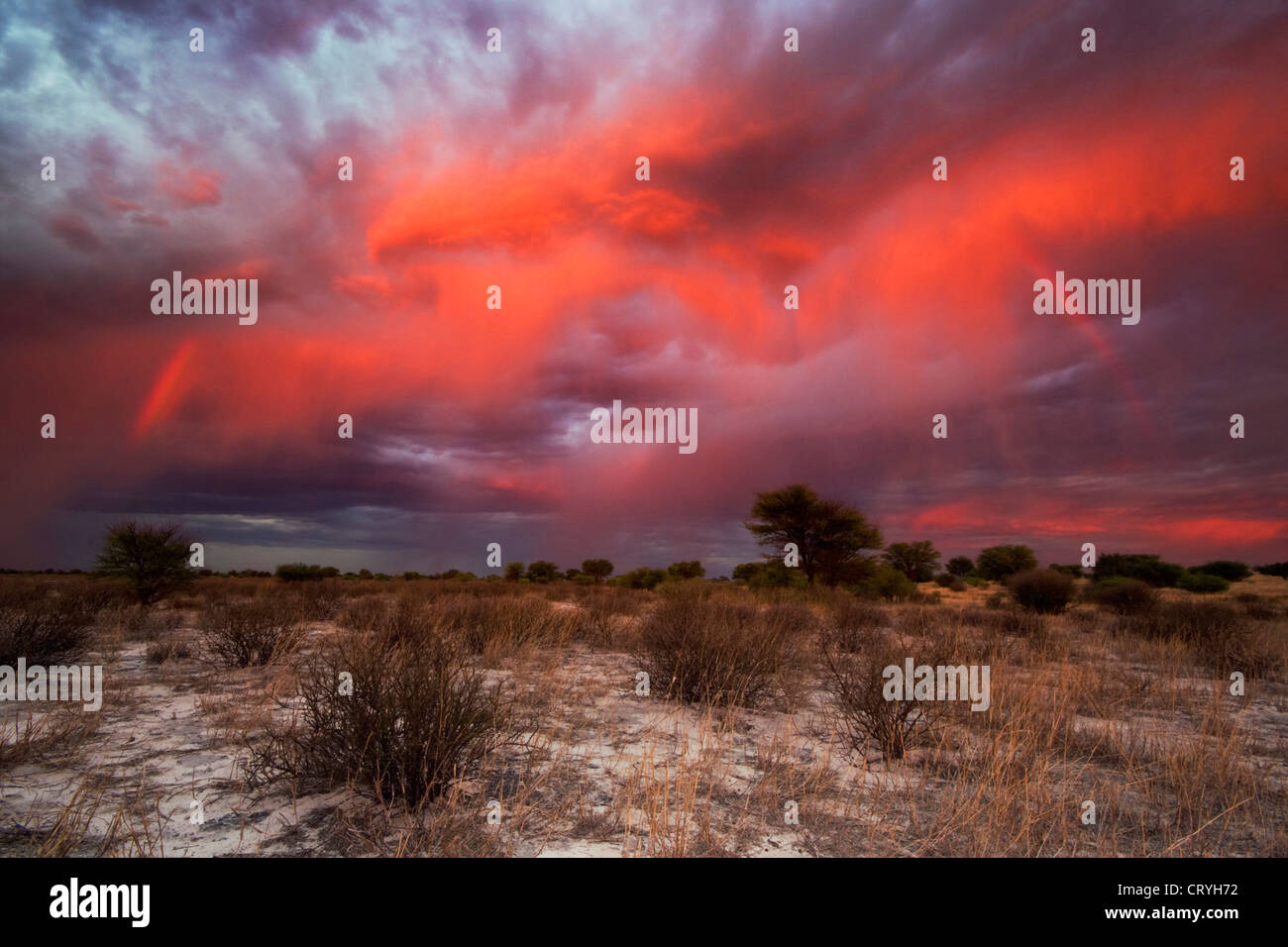 Fiery sky avec des rayures arc-en-ciel au coucher du soleil sur le paysage du Kalahari Banque D'Images