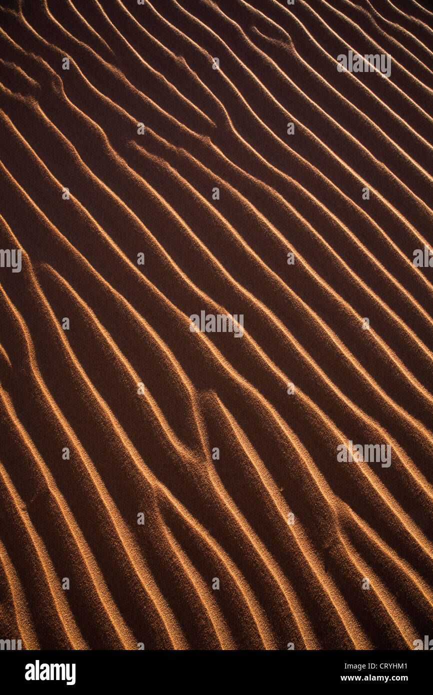 Close-up d'ondes dans le sable Banque D'Images