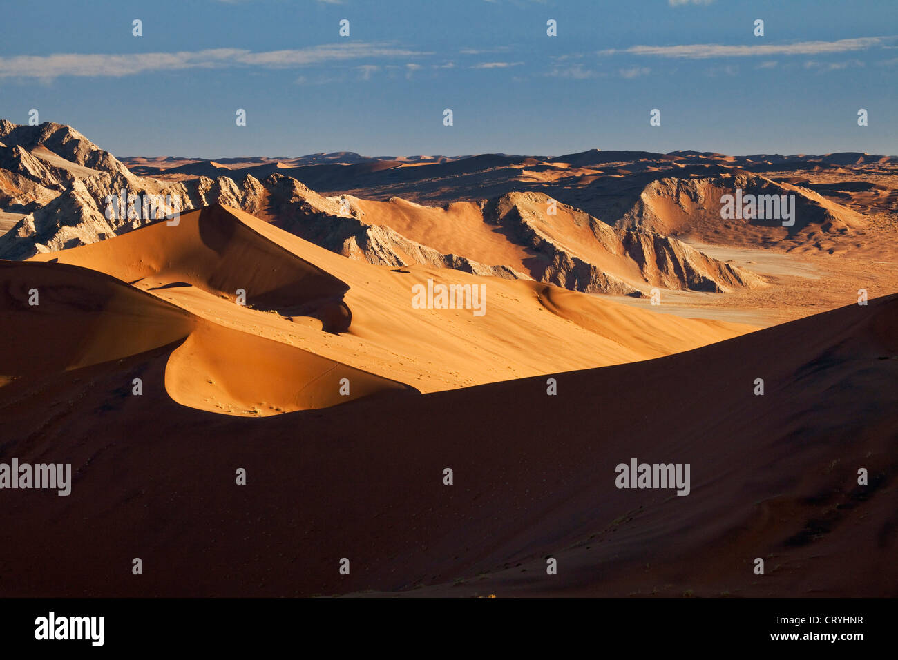 Paysage de dunes de sable de Sossusvlei Banque D'Images