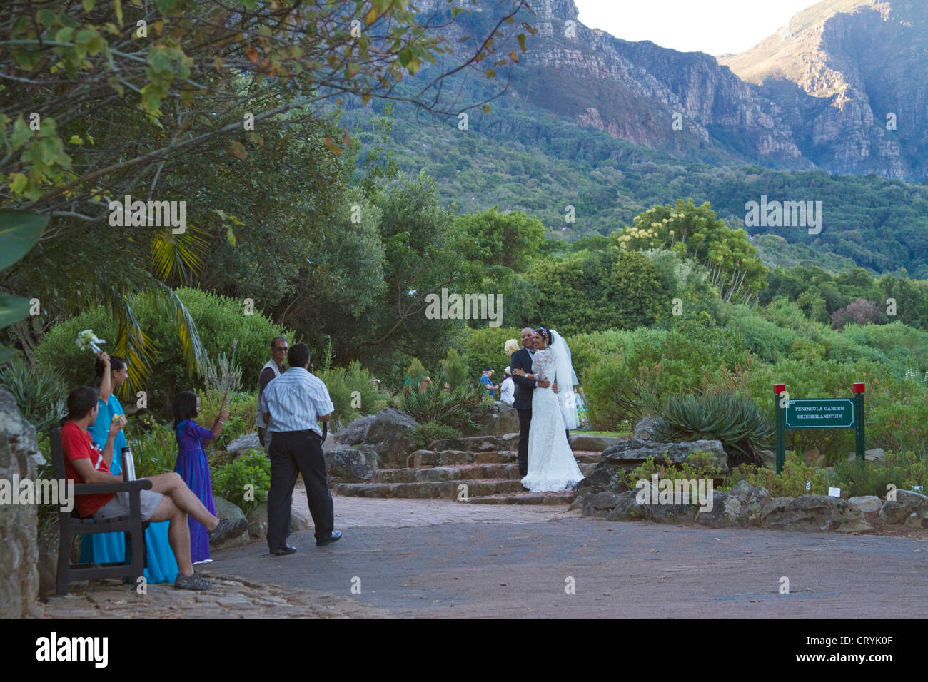 Photographe de mariage à prendre des photos des mariés dans le jardins de Kirstenbosch Banque D'Images