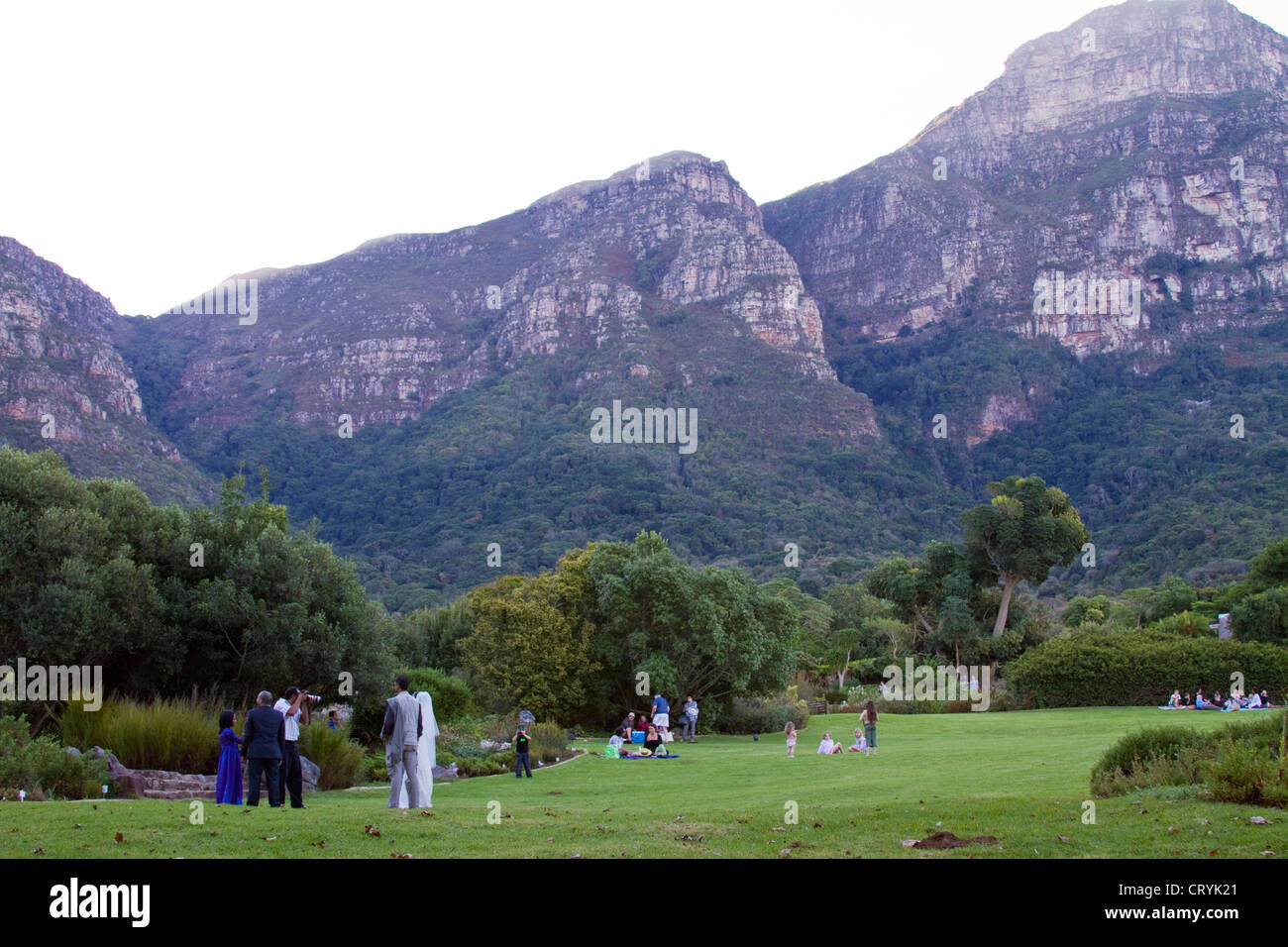 Photographe de mariage à prendre des photos de la mariée dans les jardins de Kirstenbosch Banque D'Images