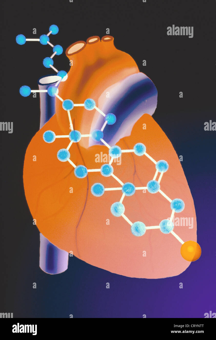 Molécule de cholestérol Banque D'Images