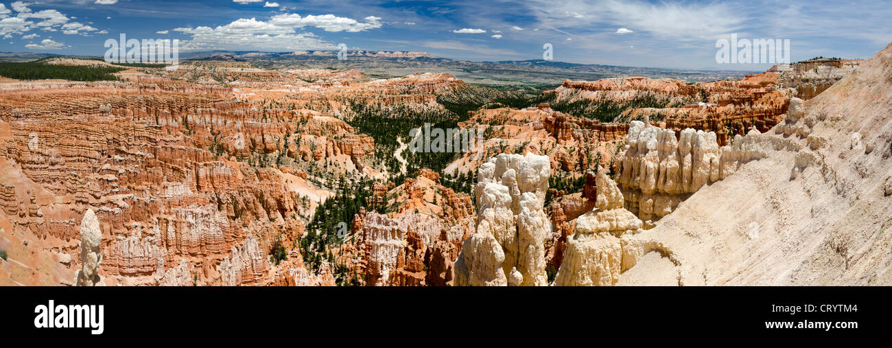 Sommaire dans le Parc National de Bryce Canyon dans l'Utah en Amérique latine Banque D'Images