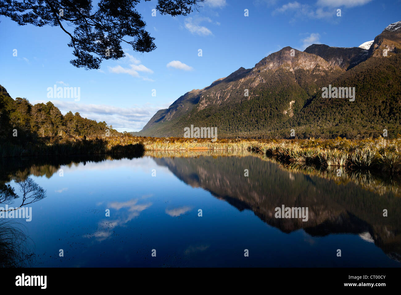 Mirror tarn, Hollyford Valley, Fiordland, Nouvelle-Zélande Banque D'Images