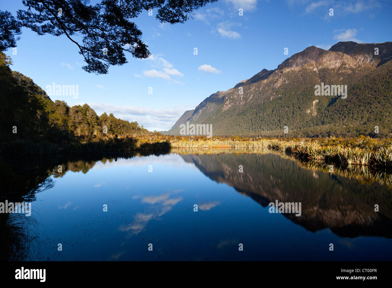 Mirror tarn, Hollyford Valley, Fiordland, Nouvelle-Zélande Banque D'Images