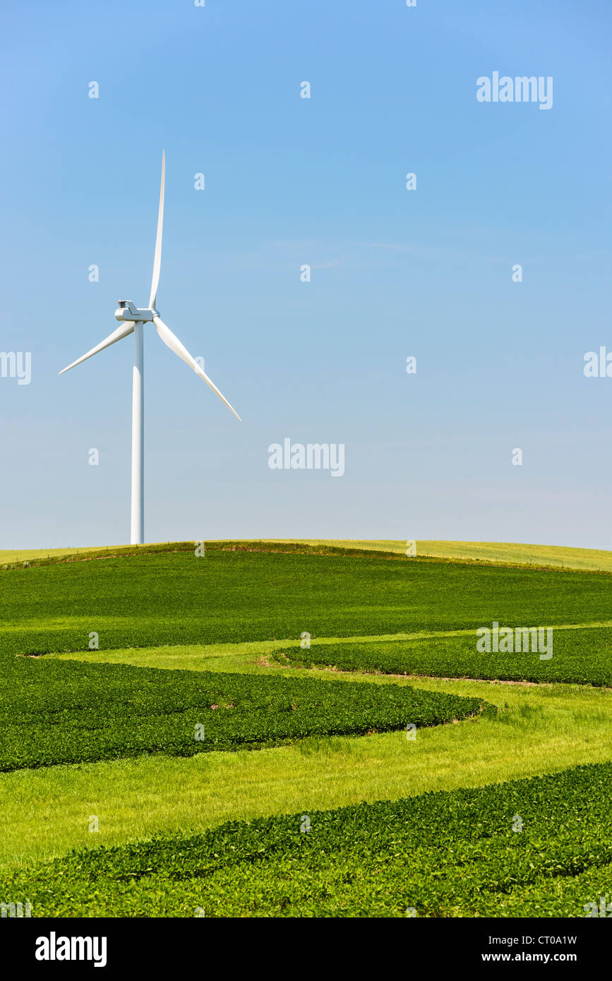 Une éolienne dans le Midwest des États-Unis ferme agricole domaine. Banque D'Images