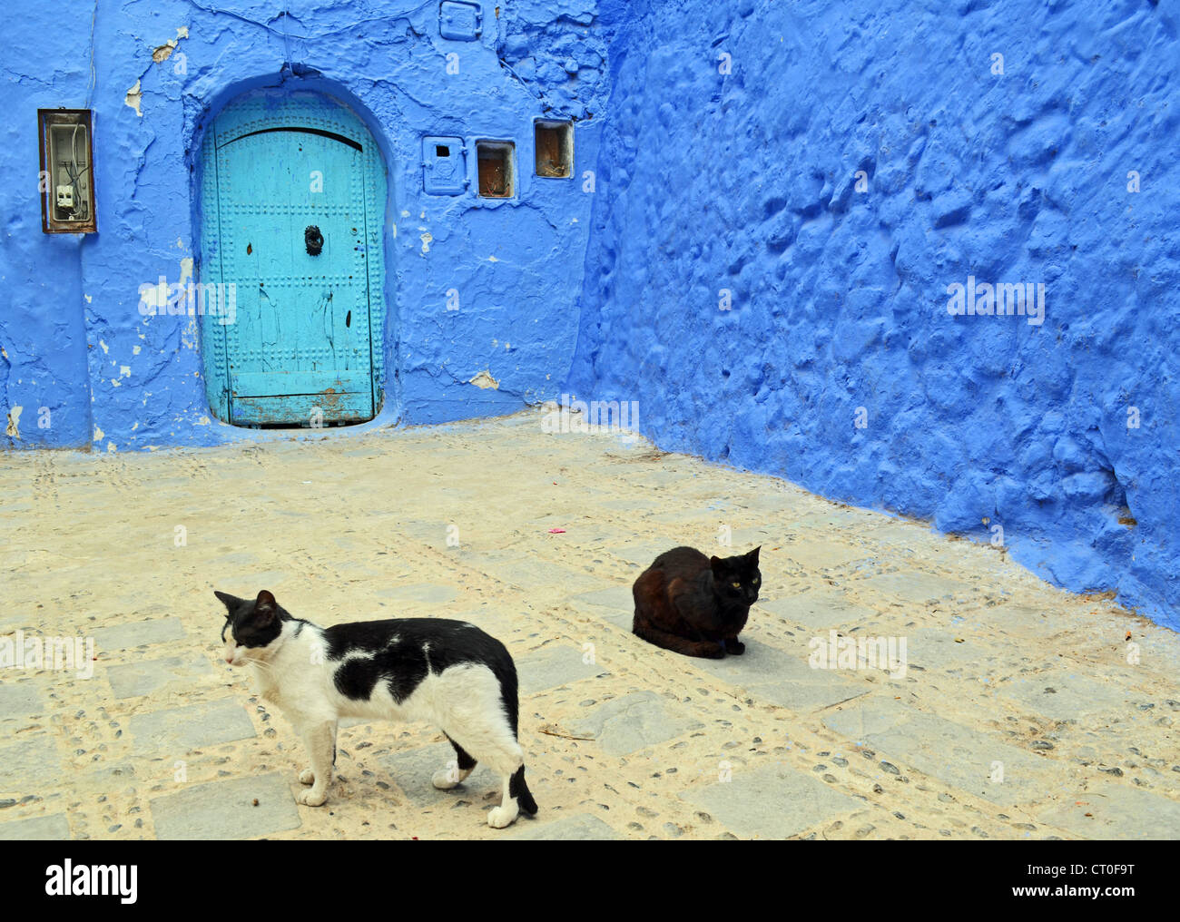 Chefchaouen, Maroc Banque D'Images
