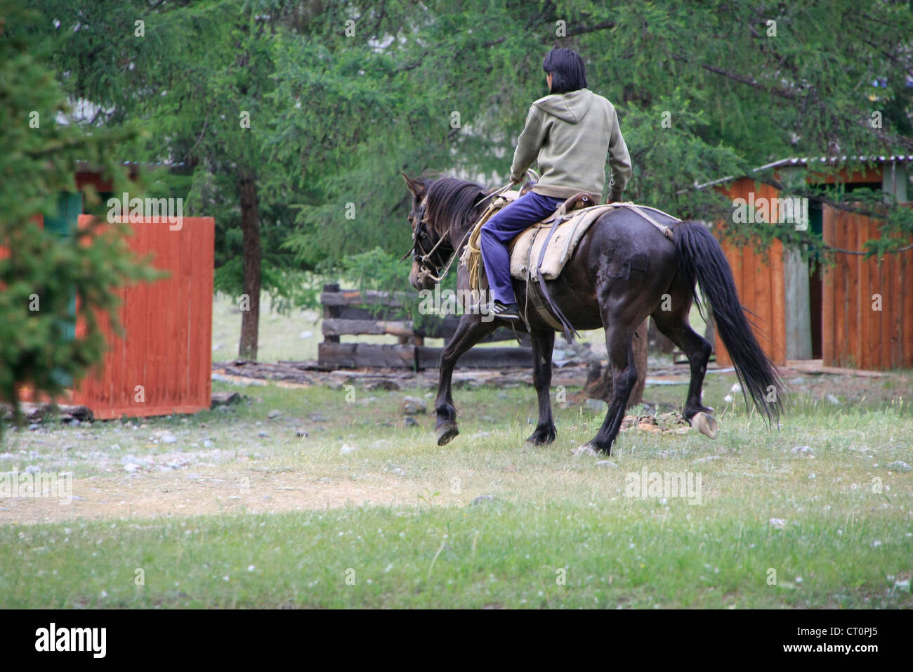 Cavalier de l'Altaï, en Sibérie, Russie Banque D'Images