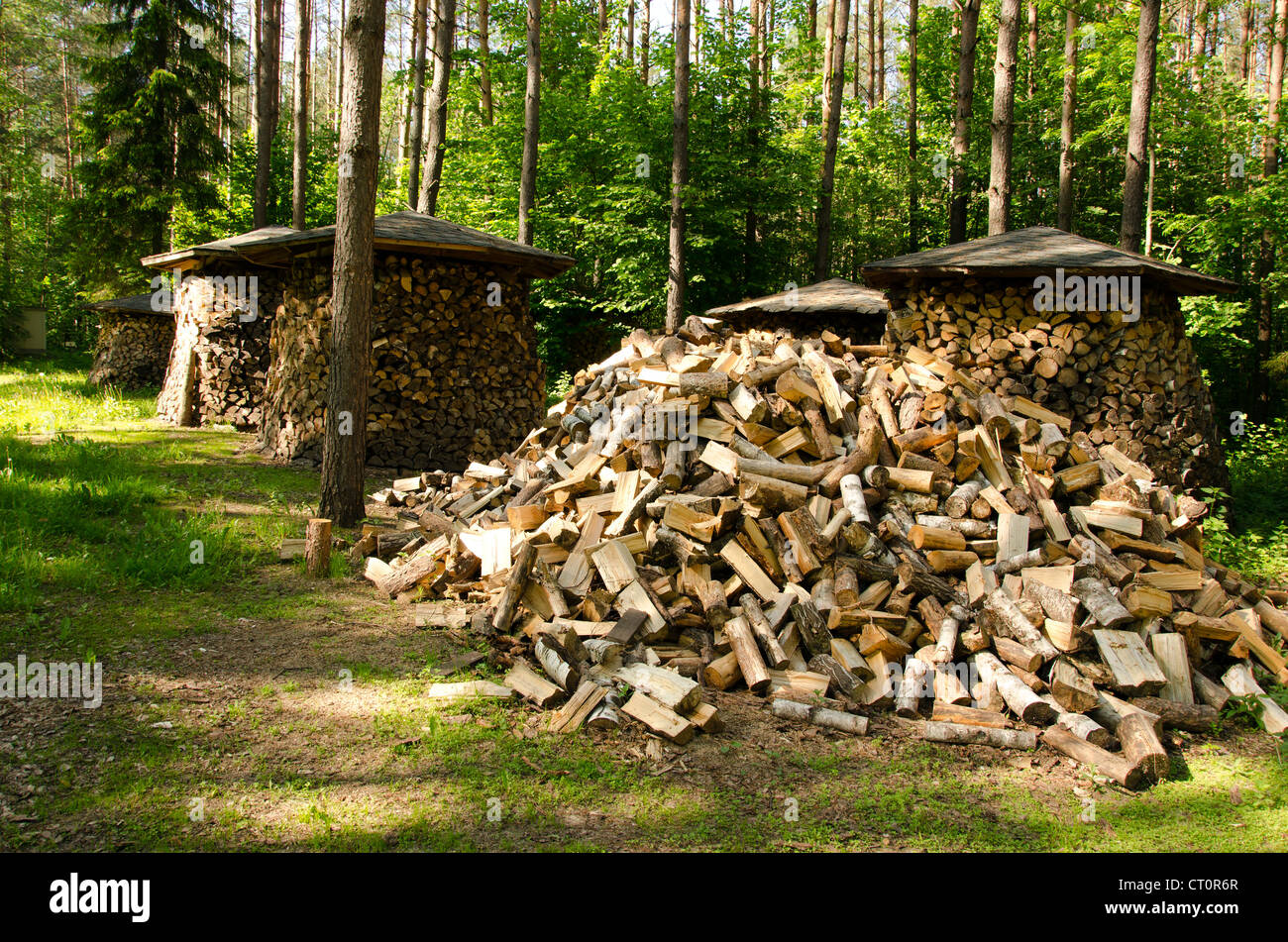 Petit hangar à toit sous bois empilé. Pile de bois de chauffage près de arbres forestiers. Banque D'Images