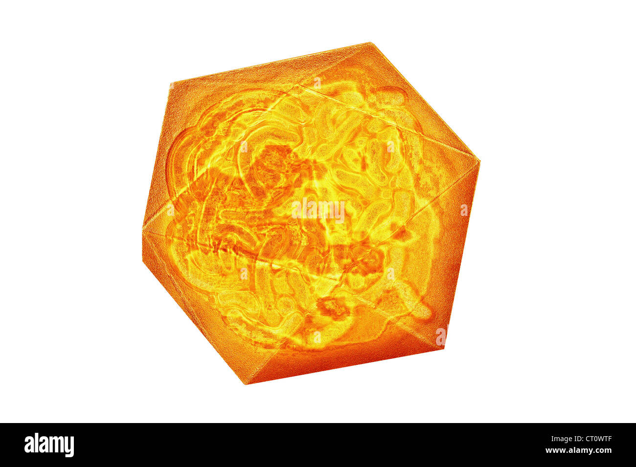 Le VIRUS DE L'HÉPATITE A Banque D'Images