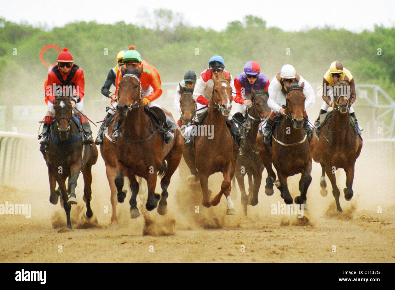 Magdeburg, les chevaux et cavaliers en action sur le chemin de terre Banque D'Images