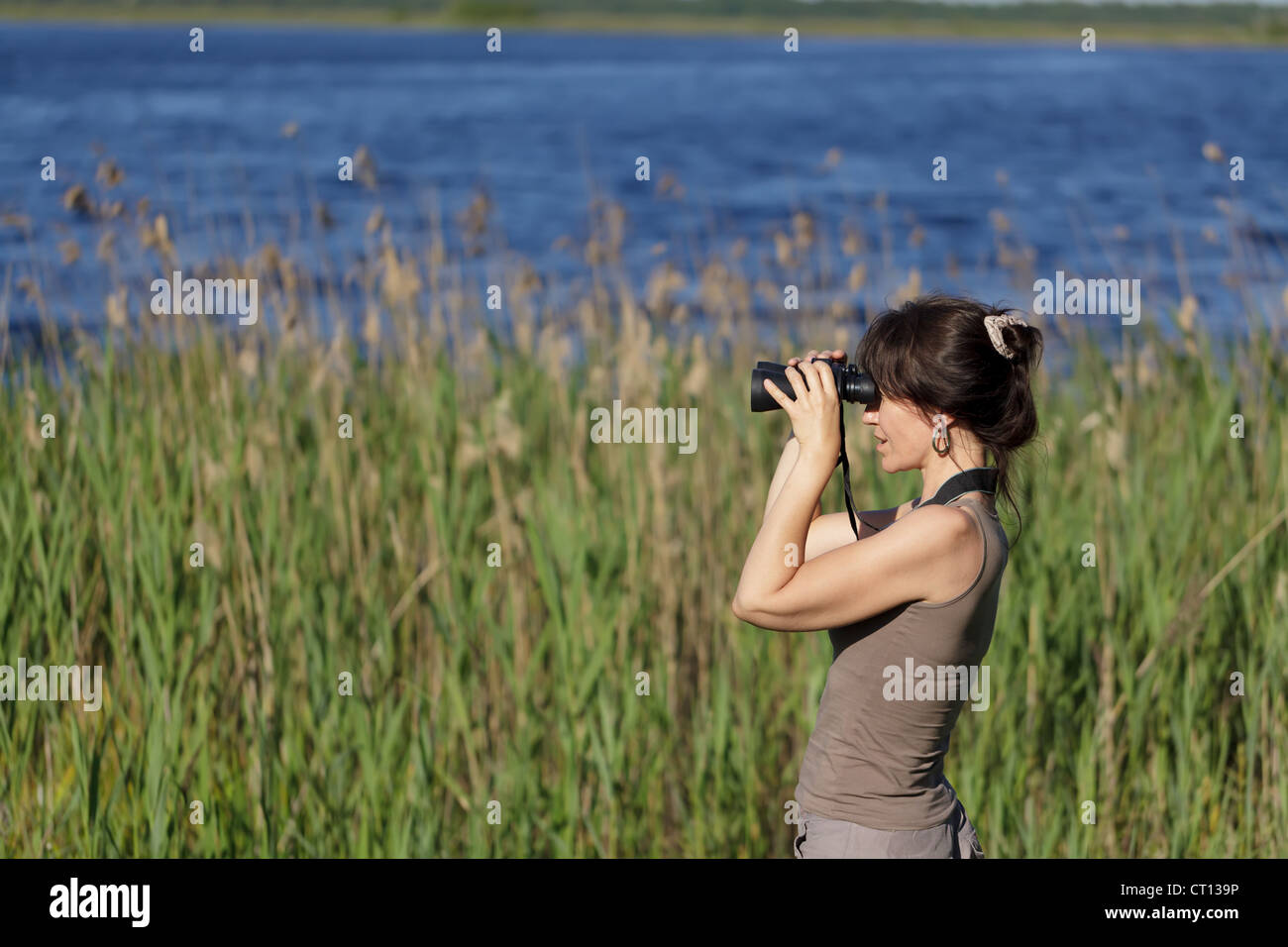 Femme regardant avec des jumelles de la faune dans la zone de marais Banque D'Images