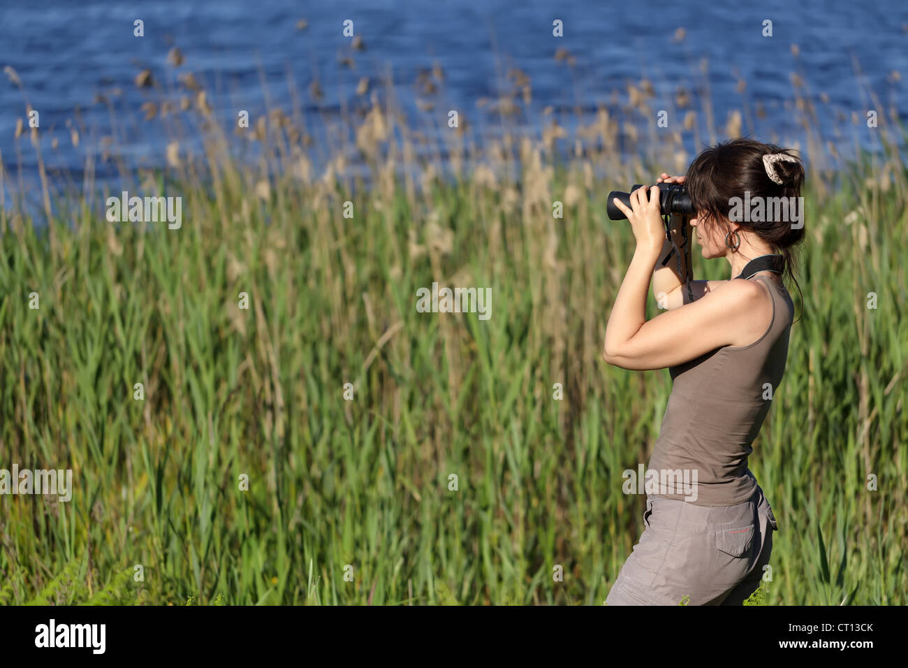 Femme regardant avec des jumelles de la faune dans la zone de marais Banque D'Images