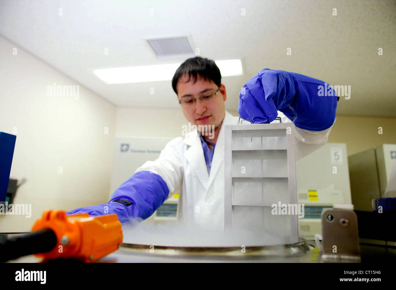 Travail de l'étudiant en médecine à la recherche et au développement chez Samsung Medical Center Banque D'Images