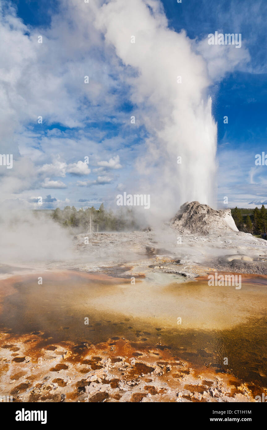 Château haut geyser geyser basin le parc national de Yellowstone au Wyoming usa États-Unis d'Amérique Banque D'Images