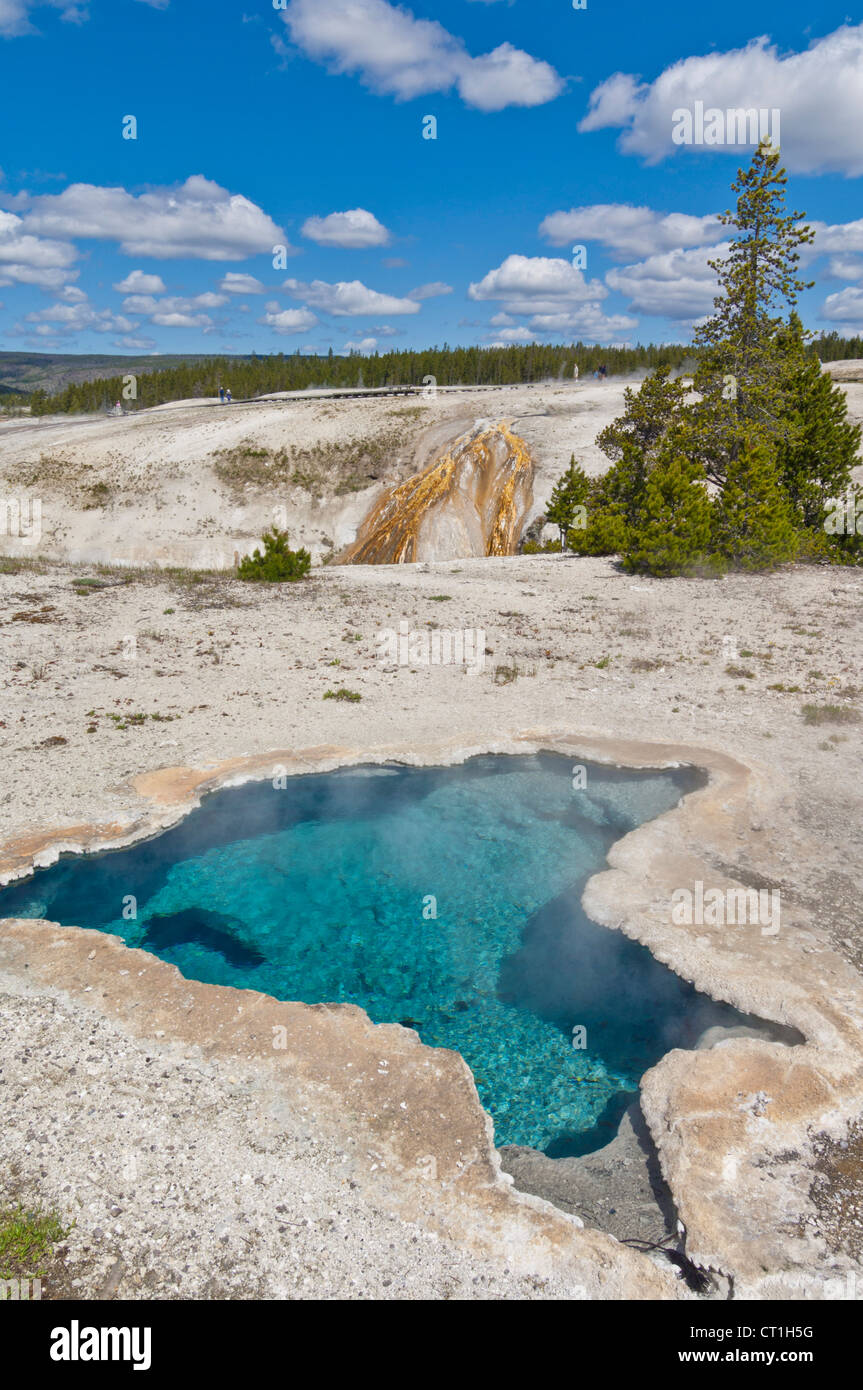 Blue Star geyser basin supérieure du ressort le parc national de Yellowstone au Wyoming usa États-Unis d'Amérique Banque D'Images