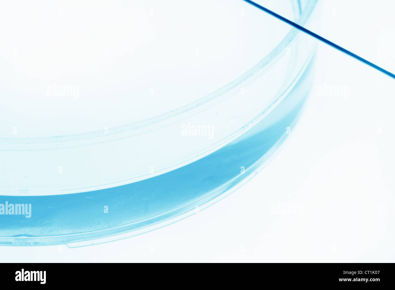 Close up of liquid in petri dish Banque D'Images